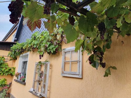 Willkommen bei Familie Leukefeld