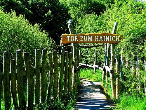 das Tor zum Hainich das Tor zum Hainich