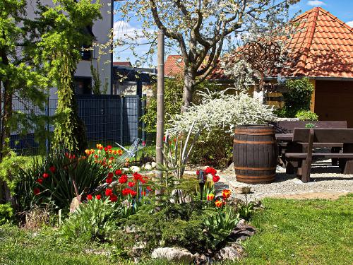 Gartenteich und Sitzbereich Gartenteich und Sitzbereich