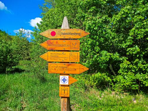 Wanderwege durch den Hainich- Nationalpark Wanderwege durch den Hainich- Nationalpark