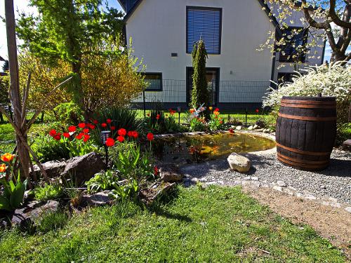 unser Gartenteich unser Gartenteich