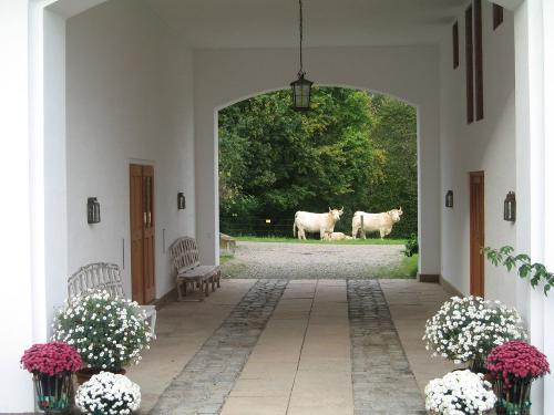 Durchblick nach Westen