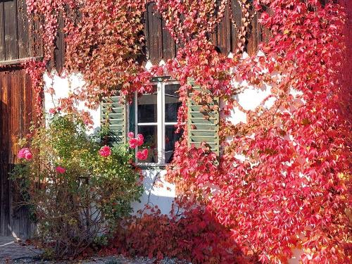 Im Herbst