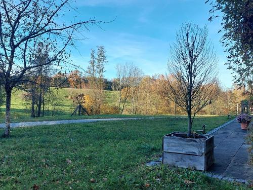 Morgenblick in die Weiden