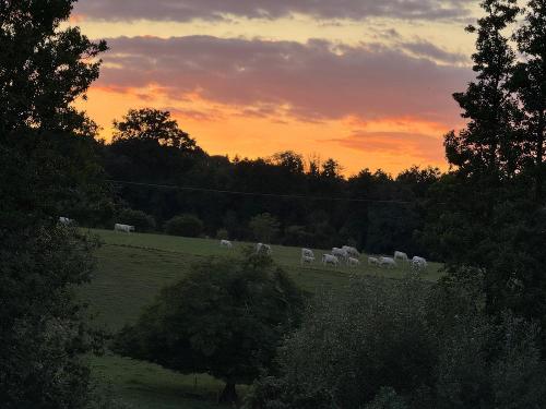 Sonnenuntergang von der Terrasse aus