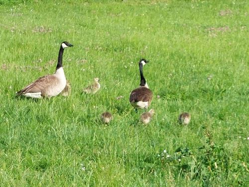 Familienausflug