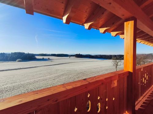 WhatsApp Image 2026-01-20 at 10-25-30