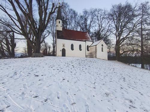 WhatsApp Image 2026-01-20 at 10-25-35