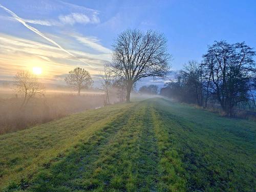 Sonnenaufgang über dem Feld