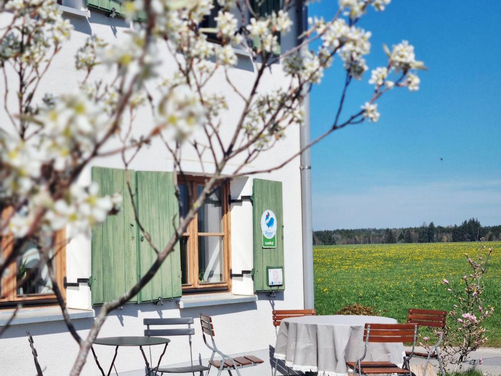 Terrasse mit Aussicht