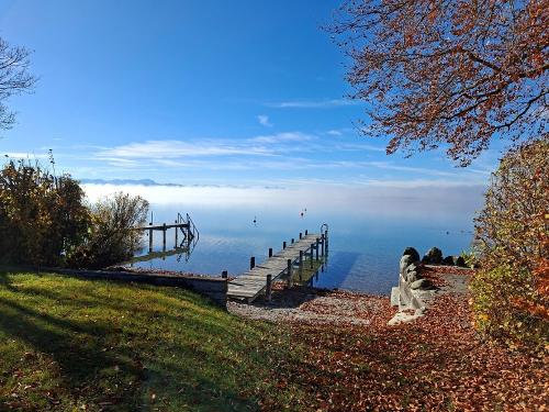 Seeufer im Herbst