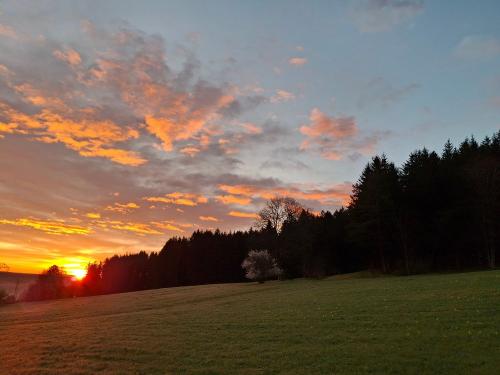 Abendstimmung im Brentenholz