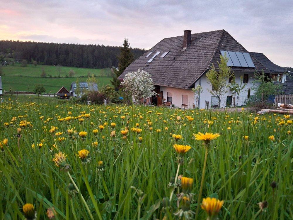 Ferienwohnung im Frühling
