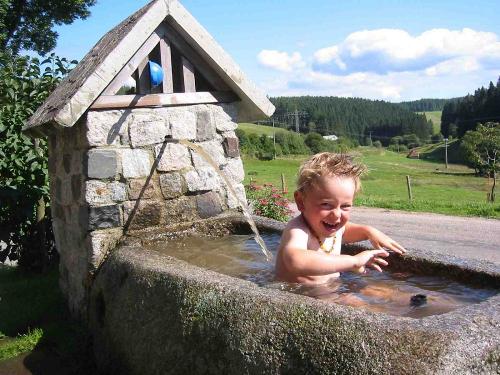 Eisbaden  -