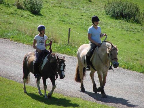 Reiten in der Natur