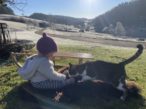 Unser Kater Findus