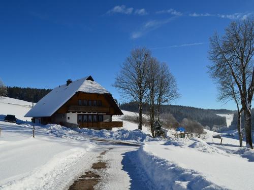 Tiefster Winter auf dem Seppjockelshof