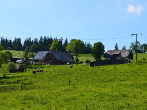 Seppjockelshof und Gästehaus