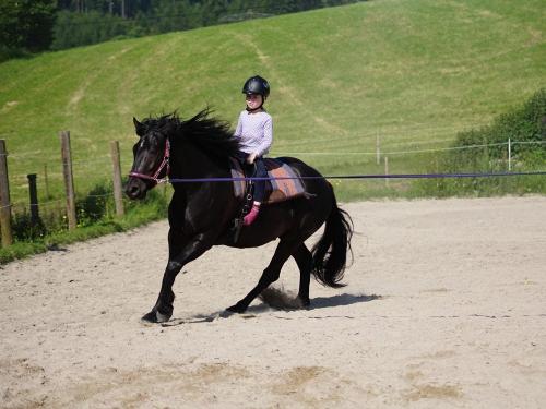Im Galopp auf Rubikon