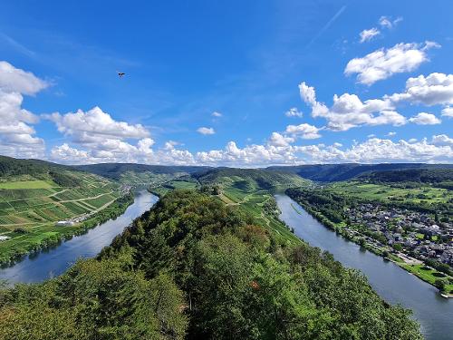 Moselschleife von Pünderich
