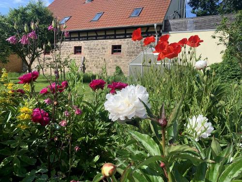 Garten im KulturGut Ulrichshalben