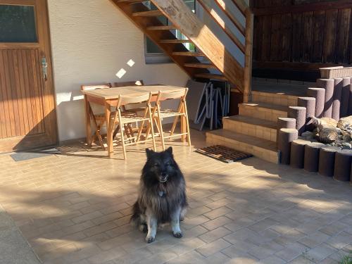 Sonnige Terrasse Sonnige Terrasse
