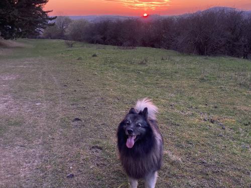 Abendspaziergang Abendspaziergang