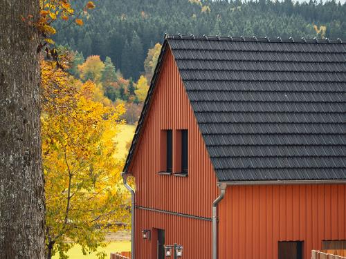 Chaletdorf Auszeit im Schönseer Land