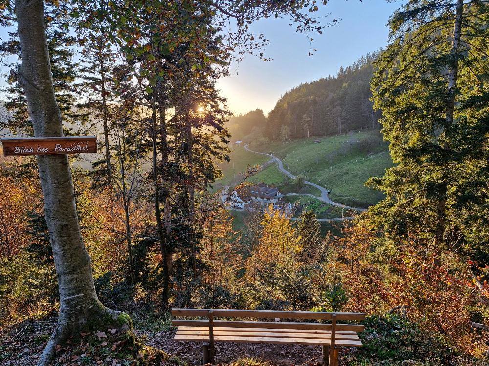 Blick ins Paradies