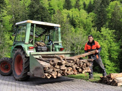Holz aus eigener Waldwirtschaft