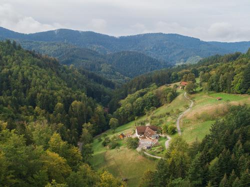 Paradies im Schwarzwald