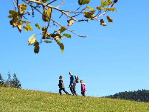 Wandern direkt von der Haustür