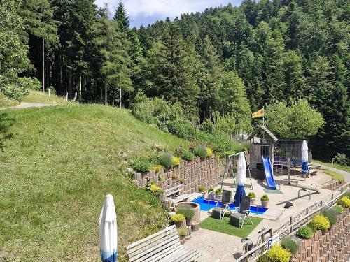 Blick in den Garten