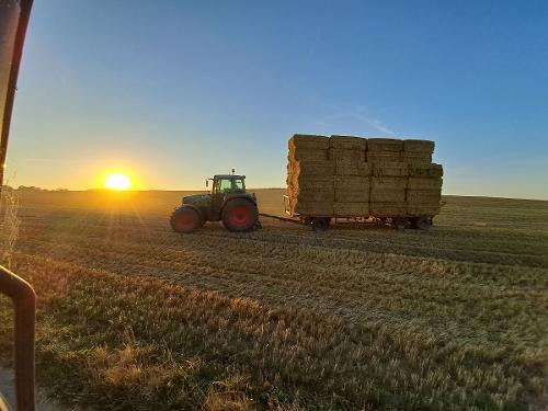 Bauernhof Heinemann Sonnenuntergang Bauernhof Heinemann Sonnenuntergang