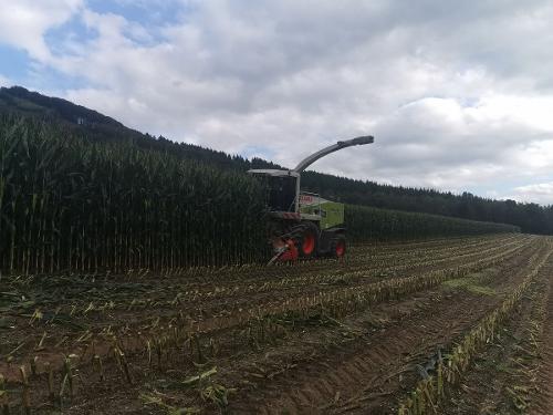 Bauernhof Heinemann Ernte Bauernhof Heinemann Ernte