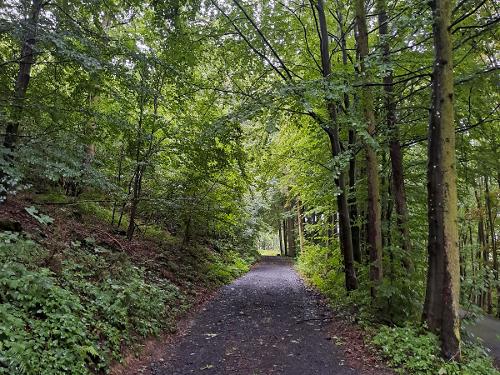 Bauernhof Heinemann Waldspaziergang Bauernhof Heinemann Waldspaziergang