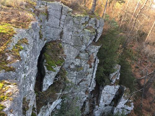 Felsen im Steinwald