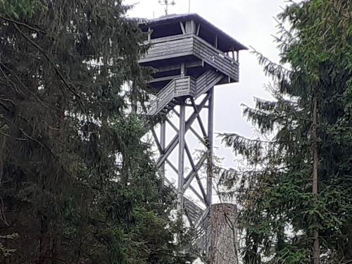 Oberpfalzturm im Steinwald