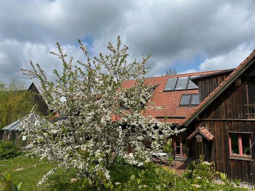 Ferienwohnung Lippert