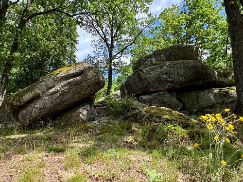 Kultur- und Naturdenkmal Druidenstein in Kröblitz