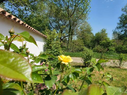 Natur und Garten