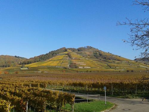 Schloßberg