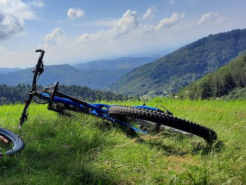 Hier gibt es ideale Trails für Mountainbiker Hier gibt es ideale Trails für Mountainbiker