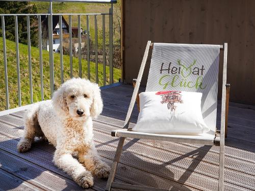 Urlaub mit Hund Urlaub mit Hund