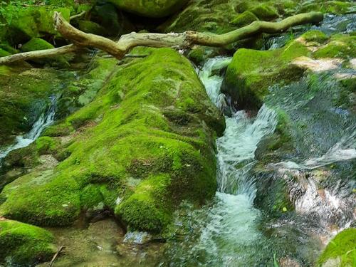Erfrischung im Sommer: Geroldsauer Wasserfall Erfrischung im Sommer: Geroldsauer Wasserfall