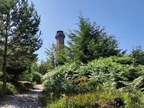 Ausflugsziel Mooskopfturm Ausflugsziel Mooskopfturm