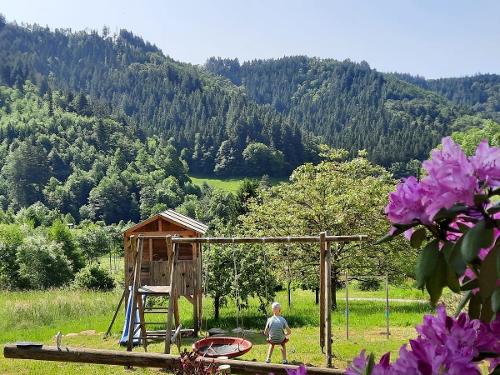 Spielplatz mit Nestschaukel Spielplatz mit Nestschaukel