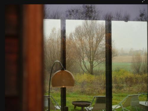 Blick in den Garten