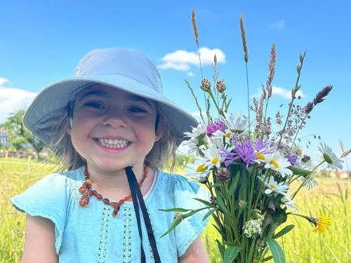 Die schönsten Blumen: Ein Wildblumenstrauß